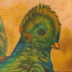 tattoo galleries/ - Quetzal Bird